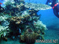 foto de buceo