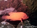 foto de buceo