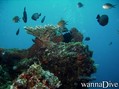 foto de buceo