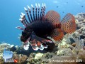 foto de buceo
