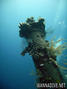 foto de buceo