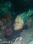 foto de buceo