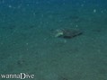 foto de buceo