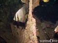foto de buceo