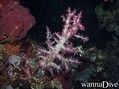 foto de buceo
