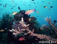 foto de buceo