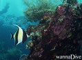 foto de buceo
