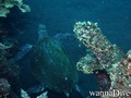 foto de buceo