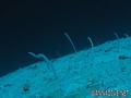 foto de buceo