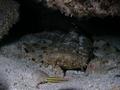 foto de buceo