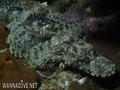 foto de buceo