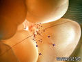 foto de buceo