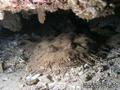 foto de buceo