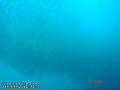 foto de buceo