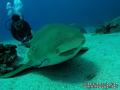 foto de buceo