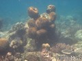 foto de buceo