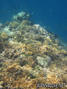 foto de buceo