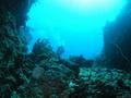 foto de buceo