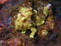 foto de buceo