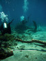 foto de buceo