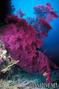 foto de buceo