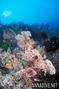 foto de buceo