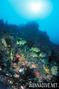 foto de buceo