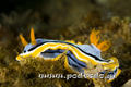 foto de buceo