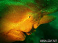 foto de buceo