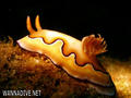 foto de buceo