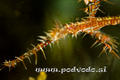 foto de buceo