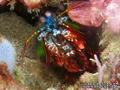 foto de buceo