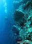 foto de buceo