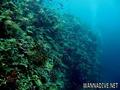 foto de buceo