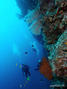 foto de buceo