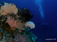 foto de buceo