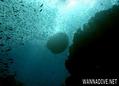 foto de buceo