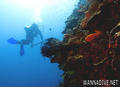 foto de buceo