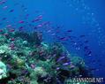 foto de buceo