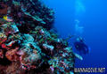 foto de buceo