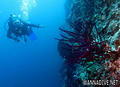 foto de buceo