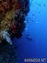 foto de buceo