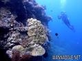 foto de buceo