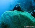 foto de buceo