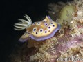 foto de buceo