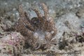 foto de buceo