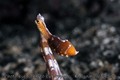 foto de buceo