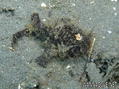 foto de buceo