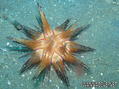 foto de buceo