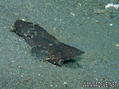foto de buceo